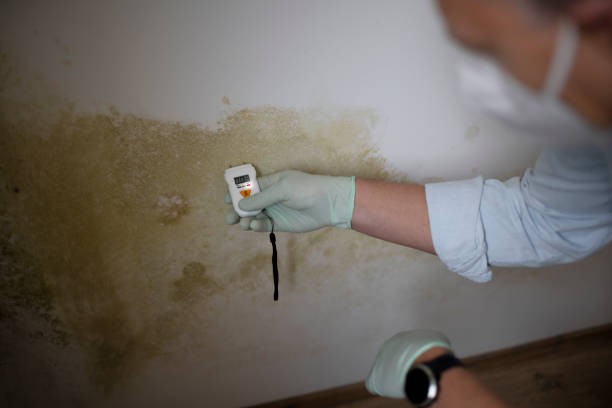 Office Mold Removal Services in Warren Af, WY