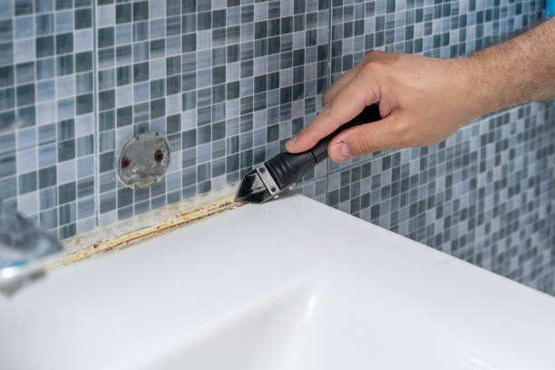 Best Home Mold Removal  in Warren Af, WY