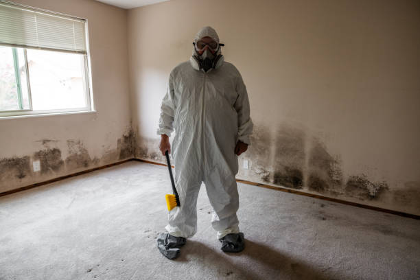 Best Same-Day Mold Removal  in Warren Af, WY